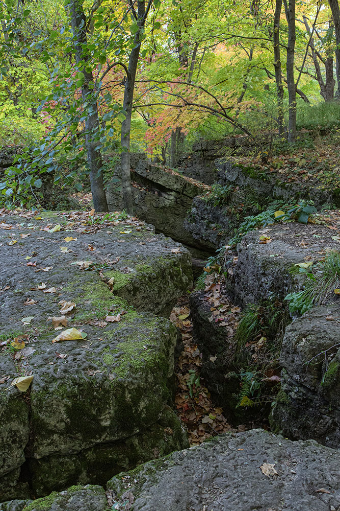 crevices in the escarpment