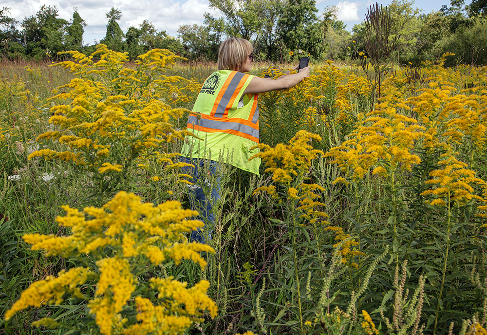 Root-Pike WIN staff member Laura Buska snaps a pollinator.