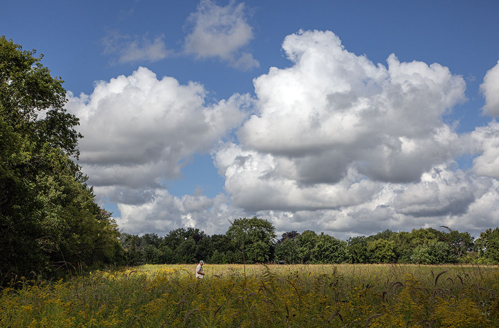 The goal is a richer, more diverse habitat that is also open to passive recreation. 