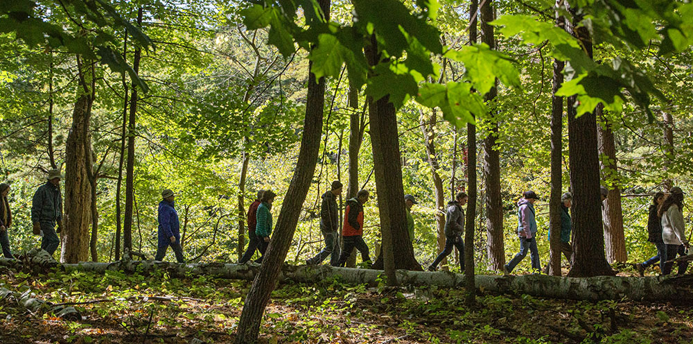 Tour group hiking in Donges Bay Gorge Natural Area