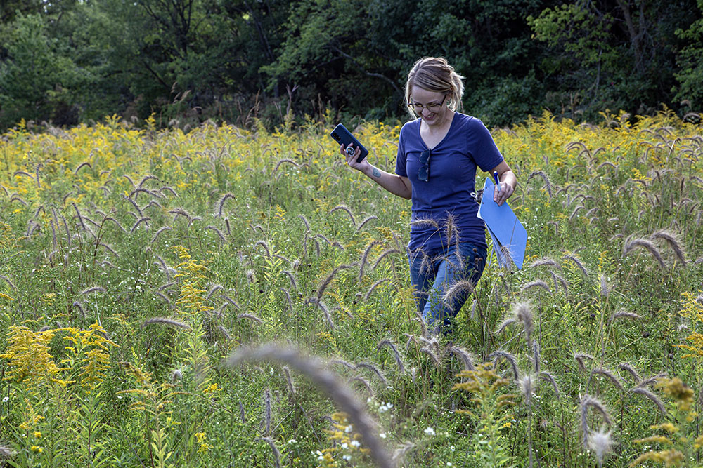 Kristine Heuser during the pollinator survey.