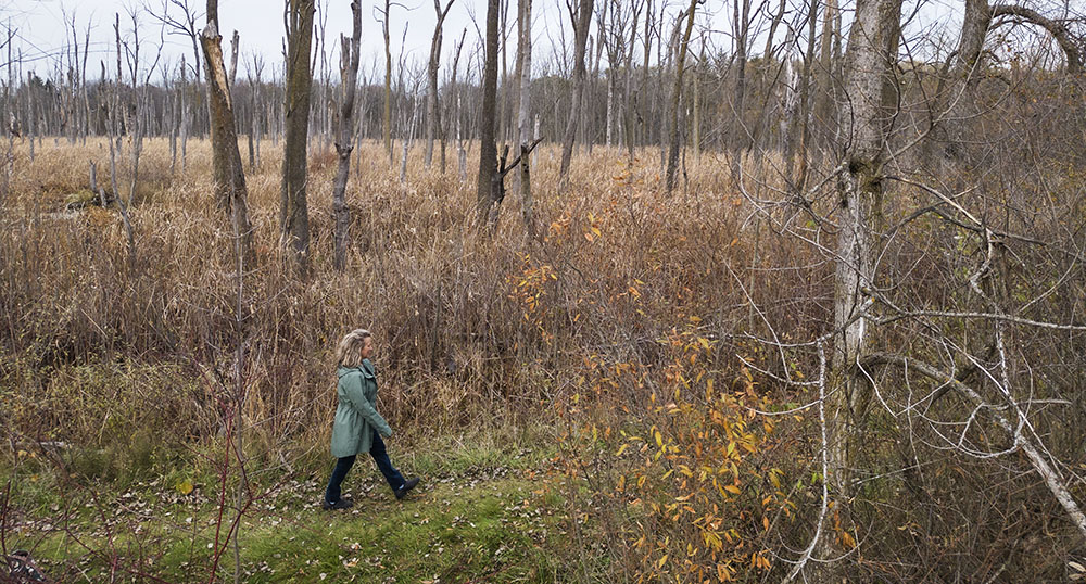 Artist in Residence Andrea Cole walking next to a wetland in Cedarburg Environmental Study Area