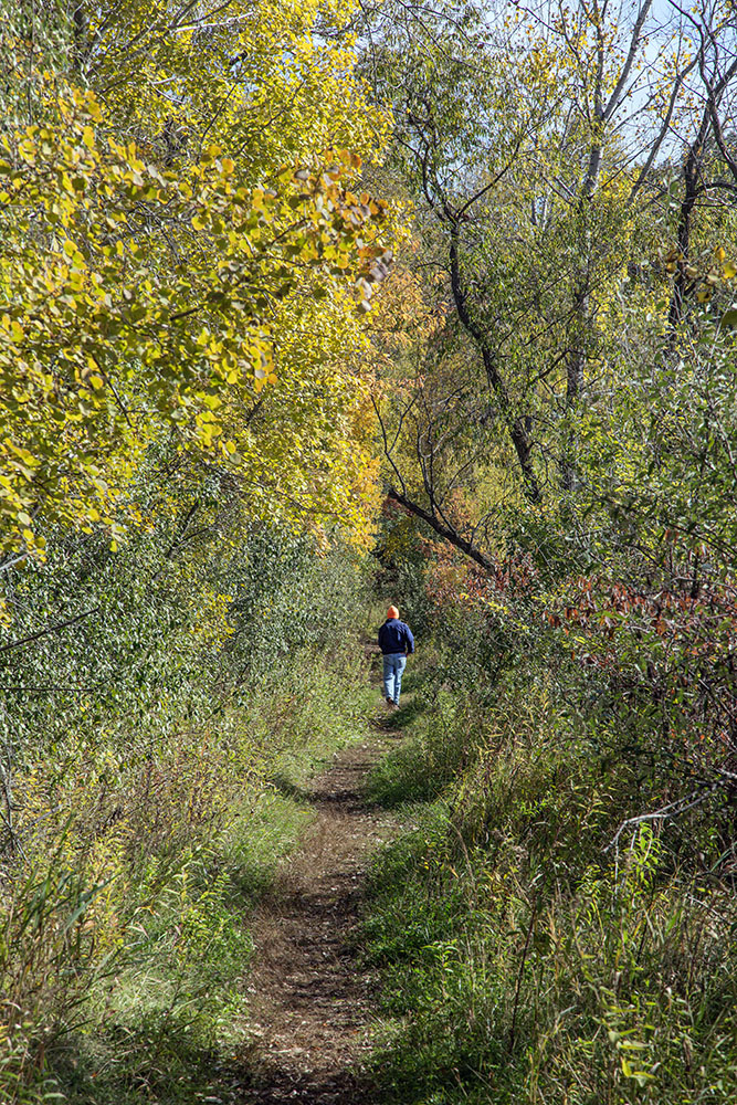 Solitary hiker on Ice Age Trail.