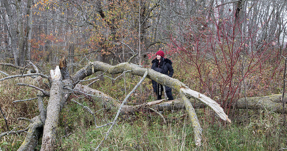 Artist in Residence D'Lacey Eichinger at Forest Beach Migratory Preserve