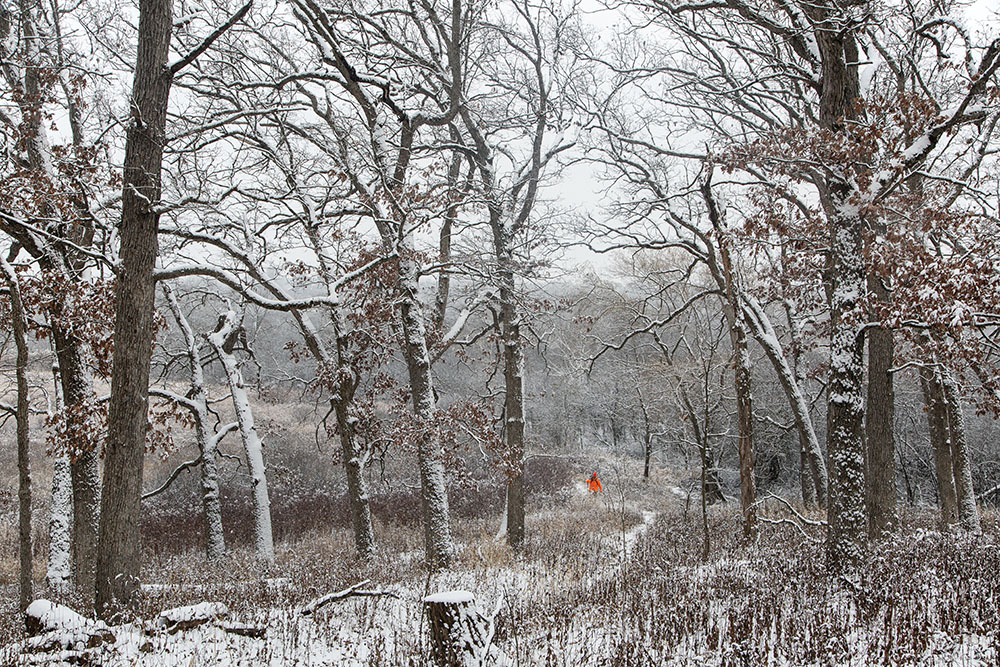 A hunter approaching the hill on the trail from the parked cars.