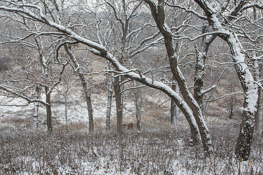 Hunter in his temporary blind at the base of the hill surveys the open field.