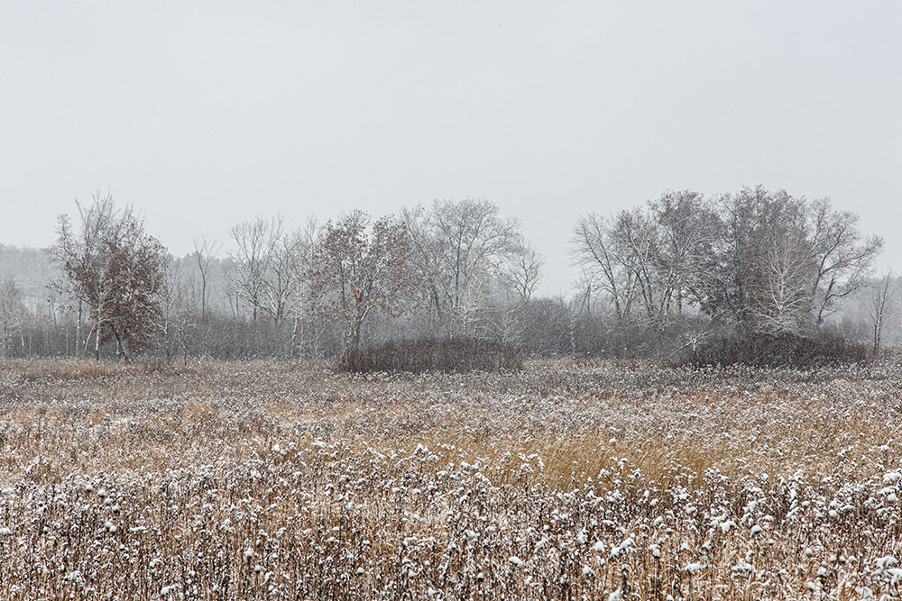 A third hunter in a tree on the far side of the field.