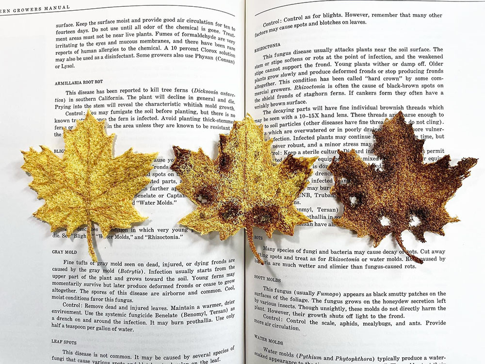 Decaying maple leaf trio. Soft sculpture free motion embroidery.