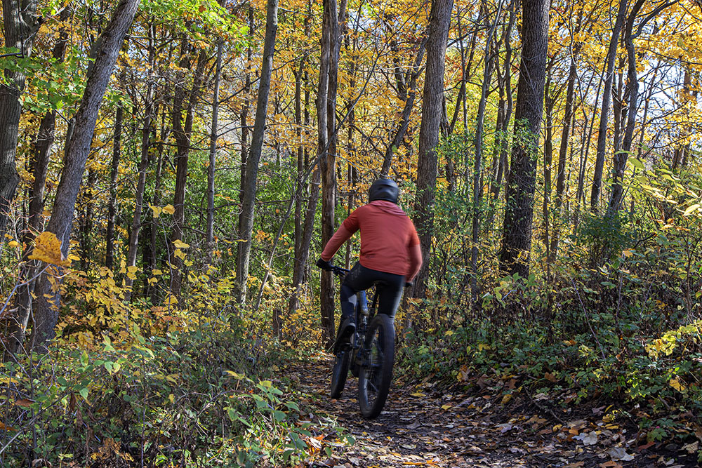 We saw only one mountain biker, on a shared part of the trail. He respectfully waited to the side for our group to pass by before continuing on.