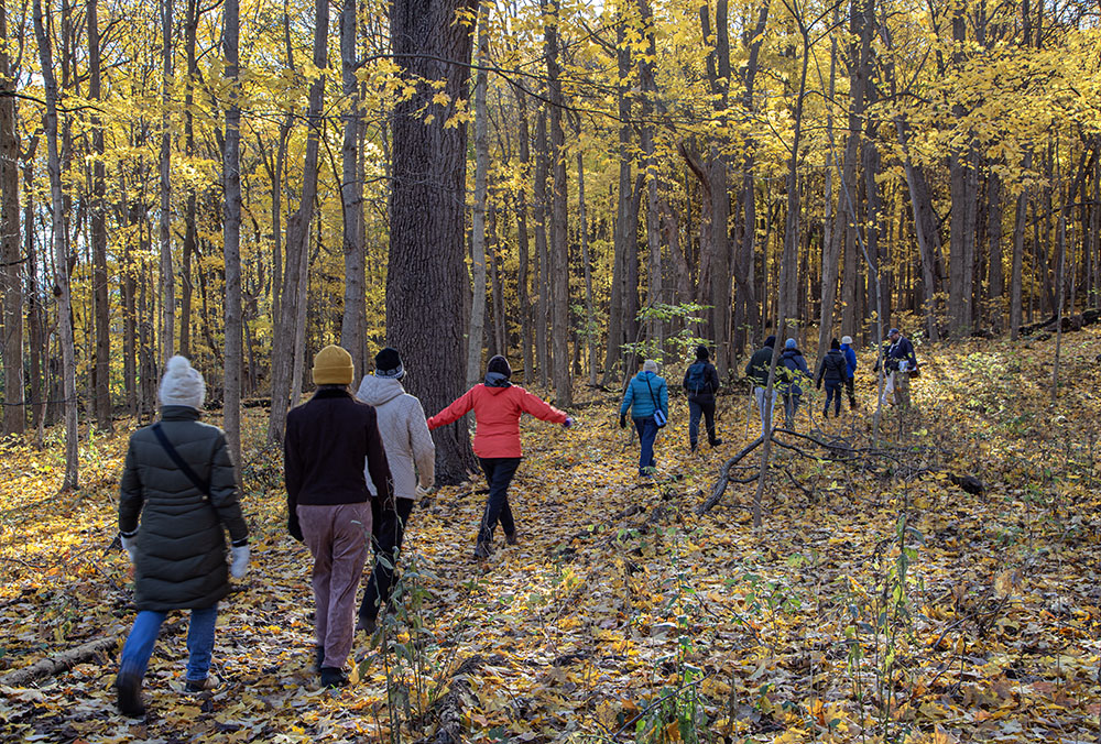 The tour group hiking in the woods.