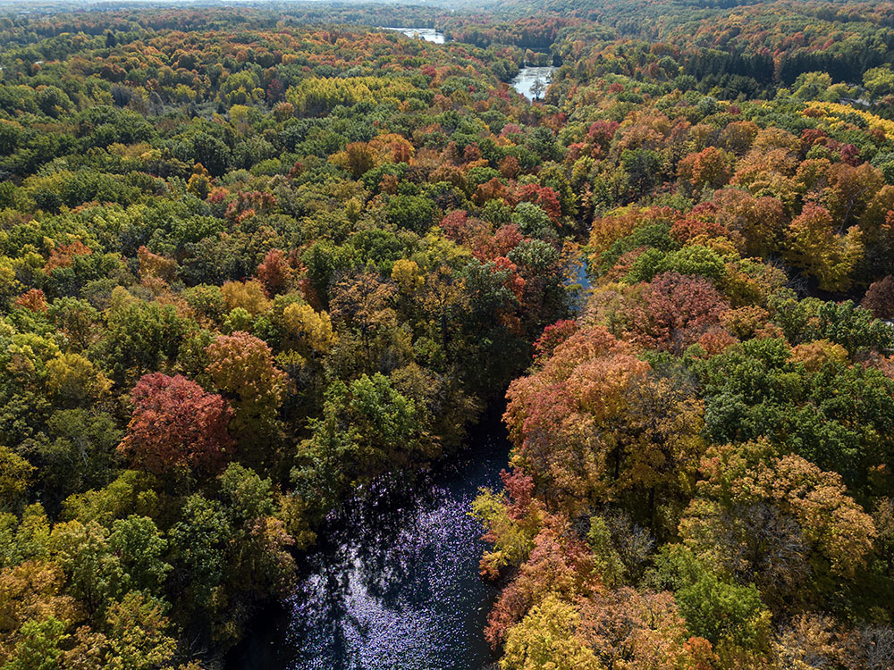 Aerial view of the park looking south.