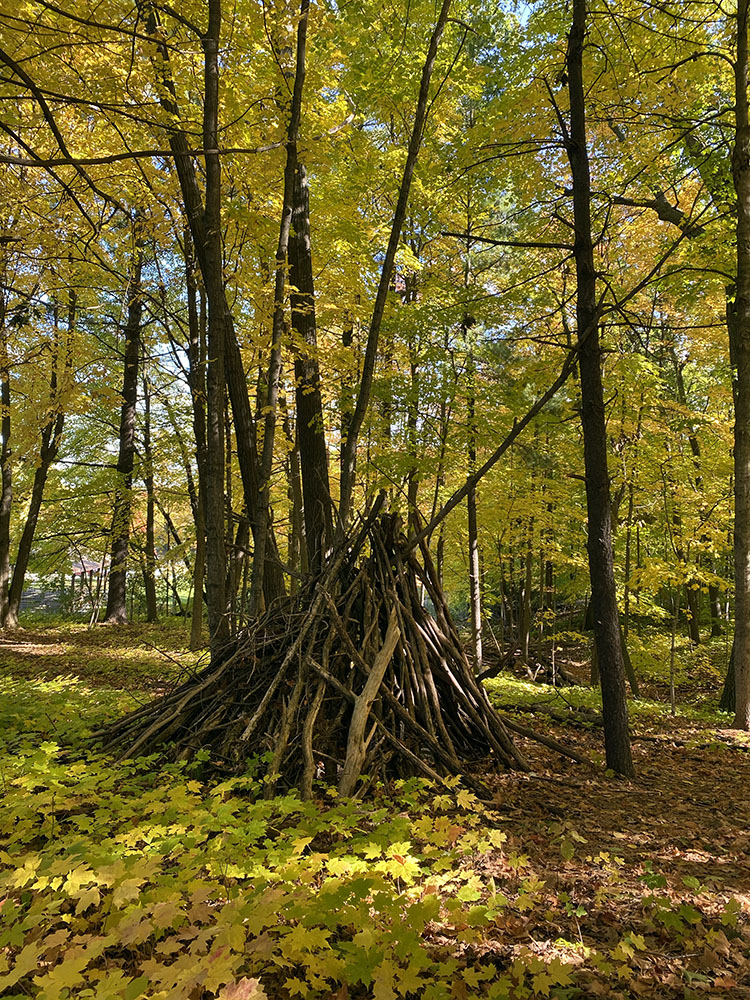 A stick fort in the woods.