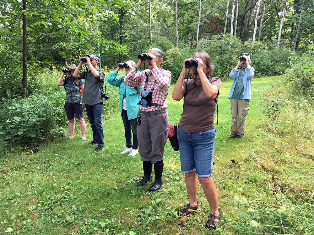 Birders. Lynden Sculpture Garden, Milwaukee