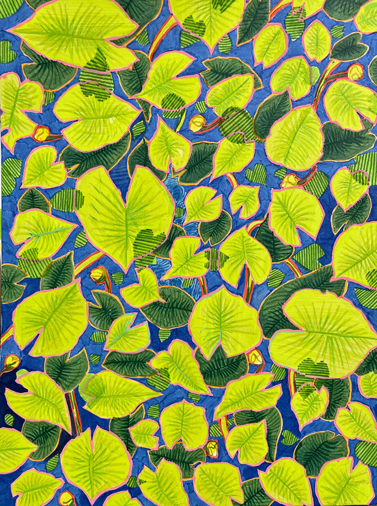 Huiras Lake Lily Pads, a pattern study.