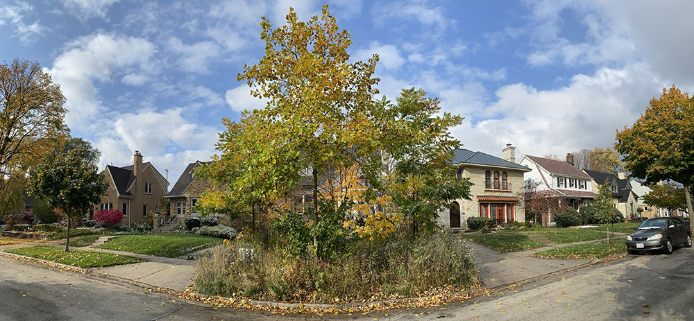 Ed Sternberg's natural yard, Wauwatosa