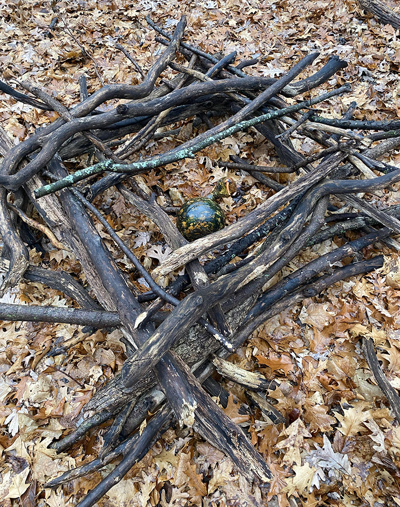 A gourd placed inside a rude nest made of sticks resembles an egg.