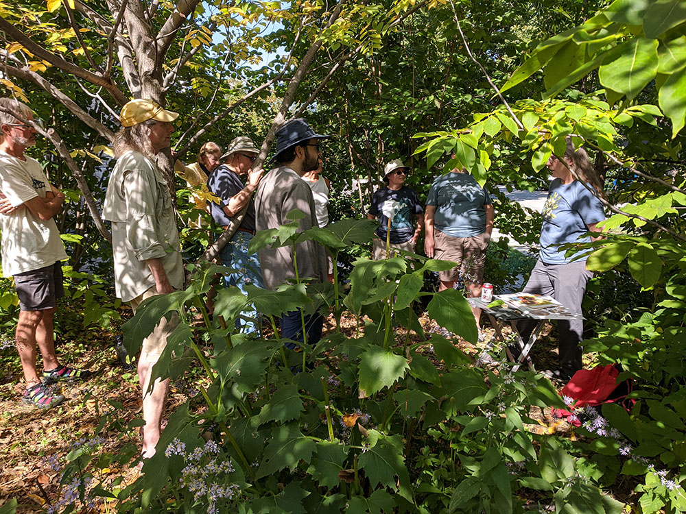 NRF field trip in outdoor living room. Mary Ann Feist (chief curator of the Wisconsin State Herbarium, and president of the Wisconsin Botany Club) is at the right.