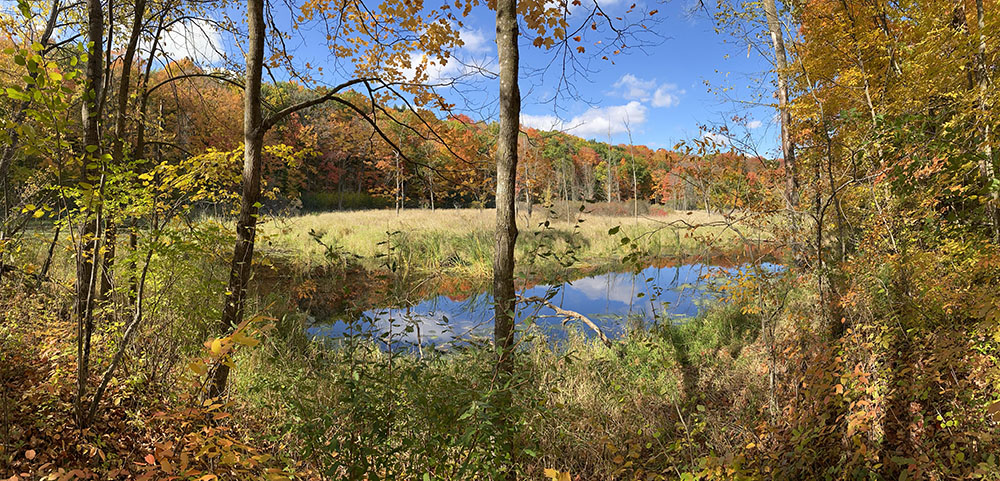 Kettle pond along Ice Age Trail in Glacial Blue Hills Recreation Area