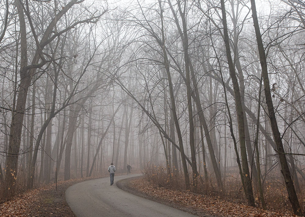 The Oak Leaf Trail runs through the forest. Walkers, joggers, pass me by at regular intervals.