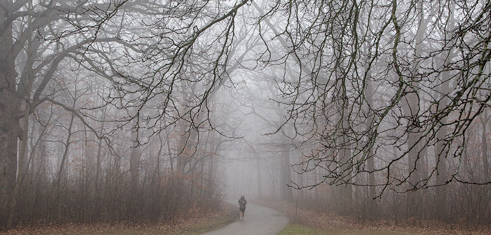 The Oak Leaf Trail disappears into the foggy forest at Greenfield Park