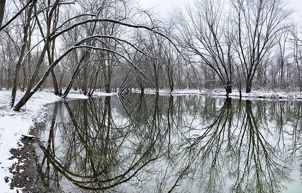 It did snow last winter. On a calm morning in January I found this stunning reflection in the Root River Parkway, Oak Creek.