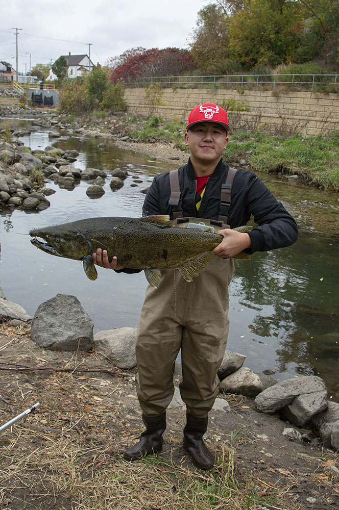 I see people fishing on all of Milwaukee's rivers frequently. Salmon, like this big one, is a common catch. I caught this proud angler on the Kinnickinnic River Parkway, Milwaukee.