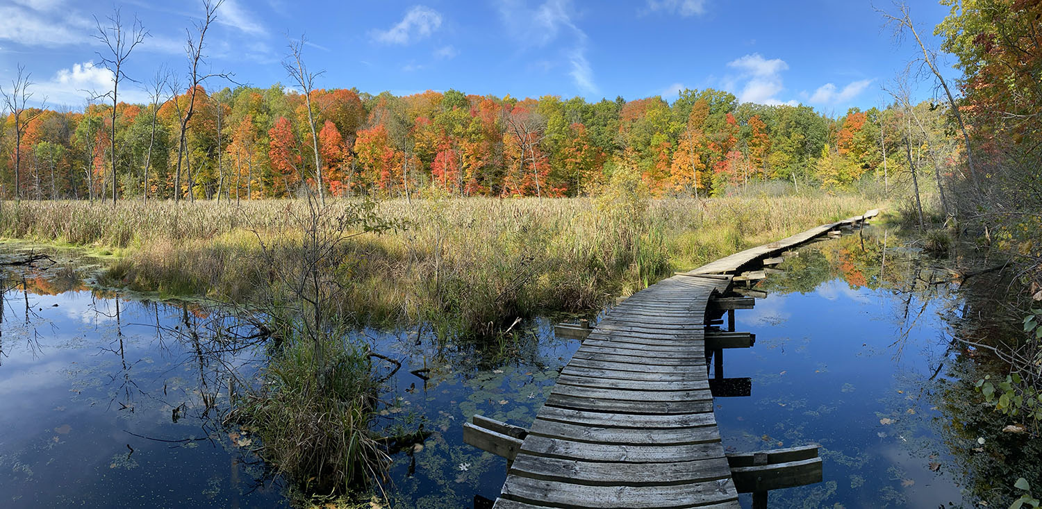 The Ice Age Trail on a boardwalk in Ridge Run Park, West Bend