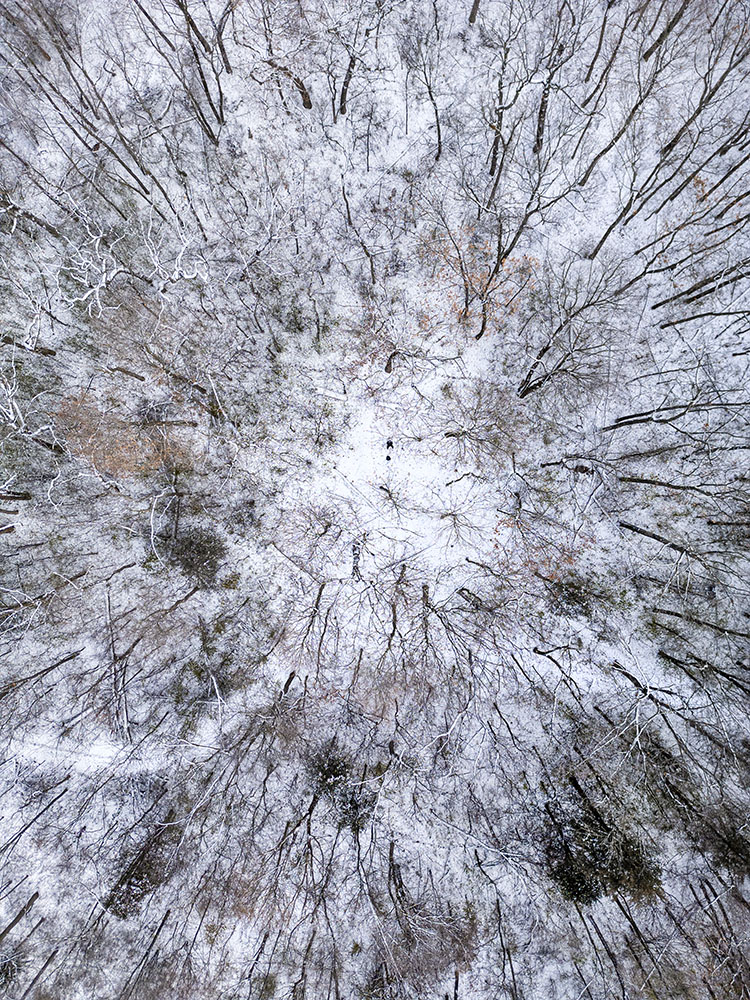 This drone's-eye-view of the Waterville Segment of the Ice Age Trail doubles as a selfie, if you can make me out at its center!