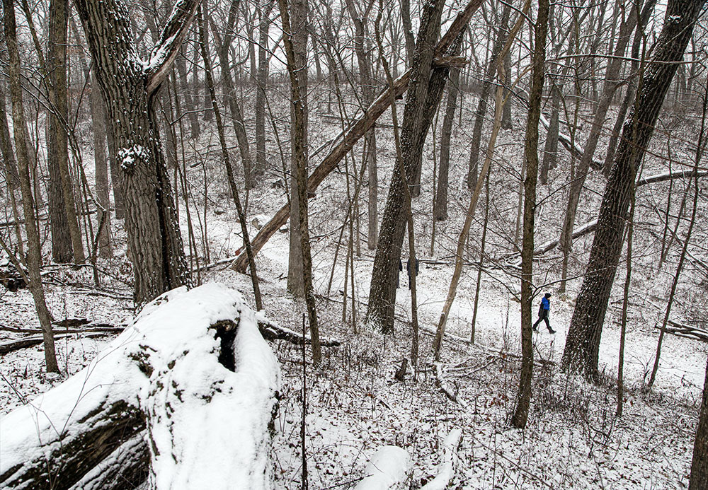 The Nature Trail and a cross country ski trail overlap briefly.