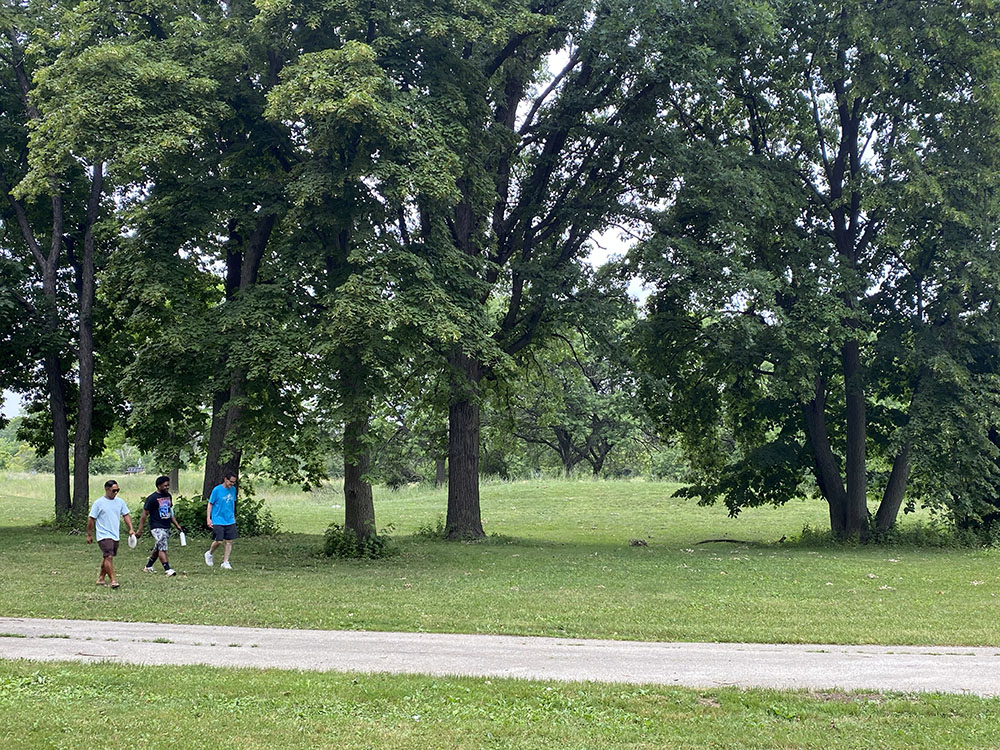 Walking in the park at Dineen