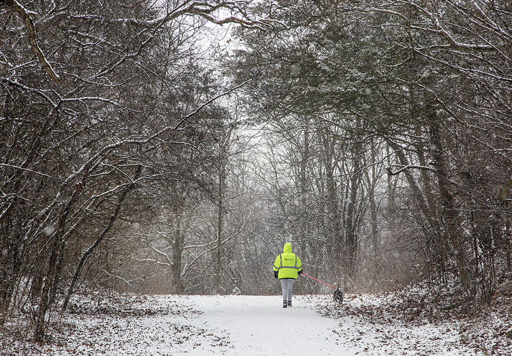 A dog and its owner making their own tracks on the entrance drive.