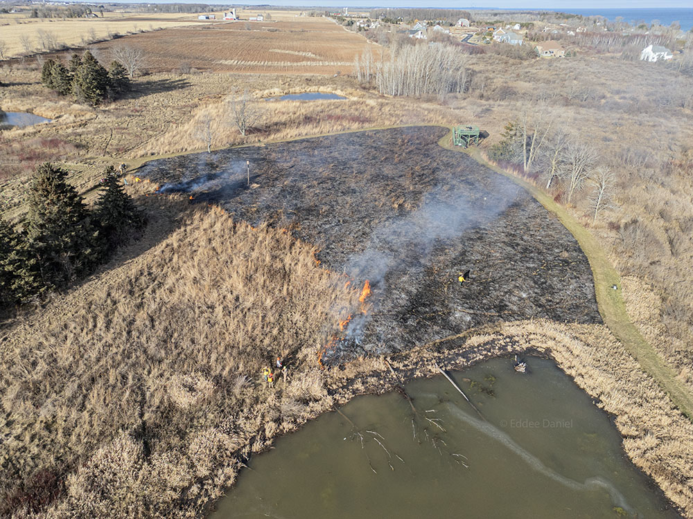 An aerial view showing the burn unit in proximity to other sections of the preserve, as well as neighboring farmland and residential properties.