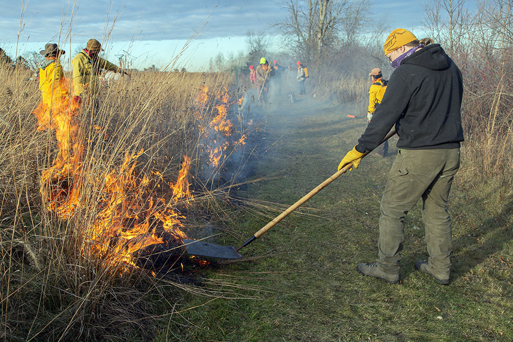 Special tamping tools are used to tamp down flare ups along the firebreak.