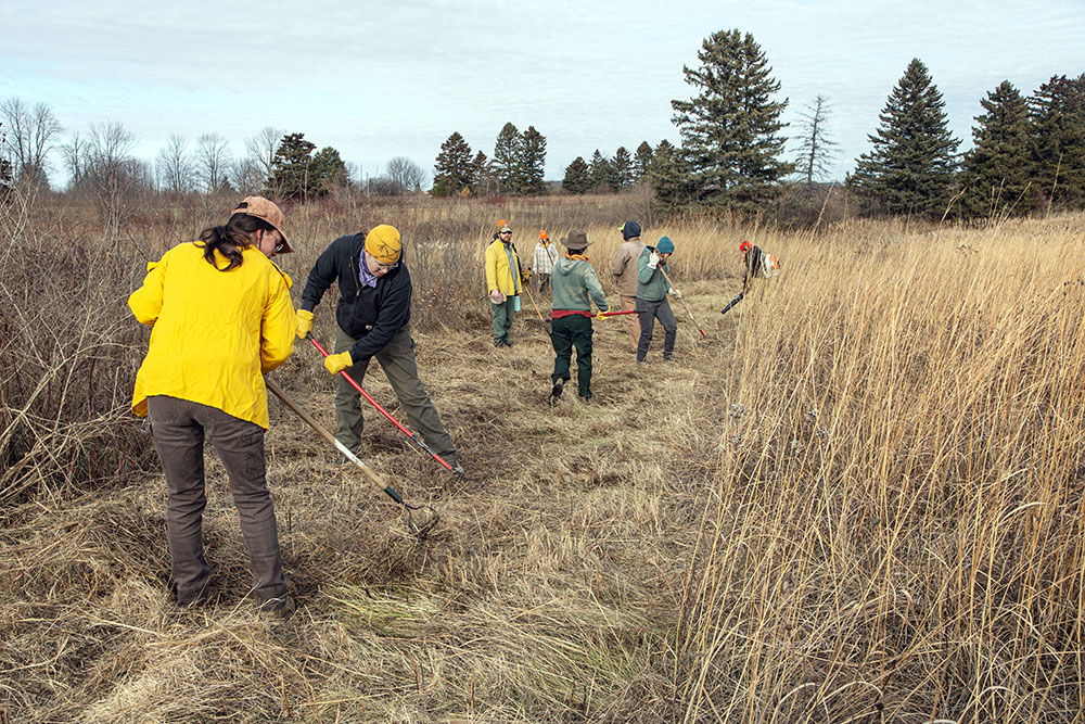 The crew removes loose vegetation from a mowed fire break to isolate the burn unit and help control the burn.