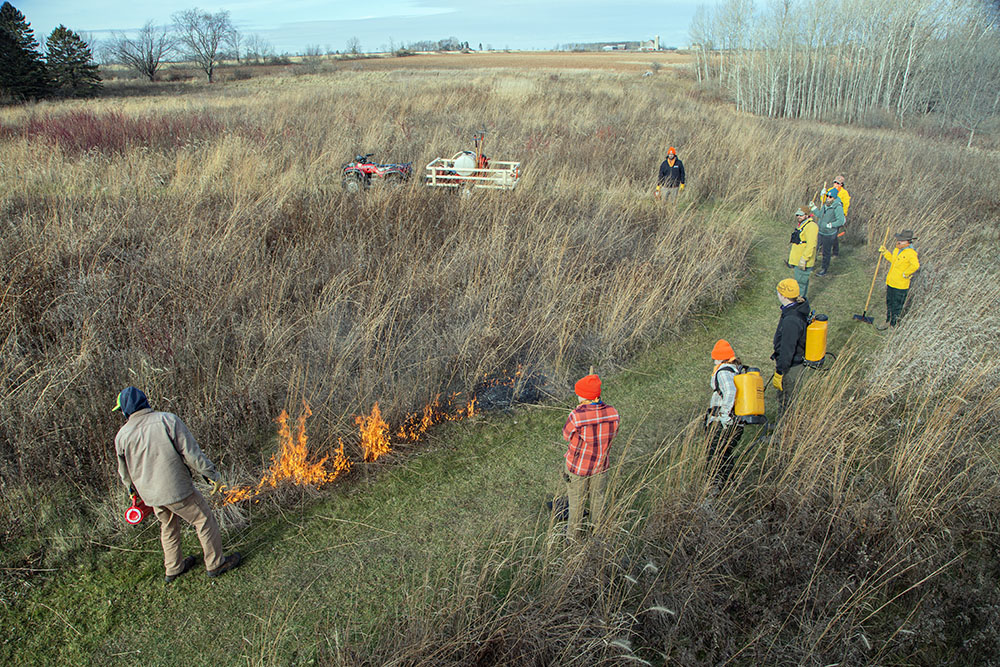 Igniting the fire, which is done from the downwind end of the burn unit in order to prevent wind from accelerating the burn.