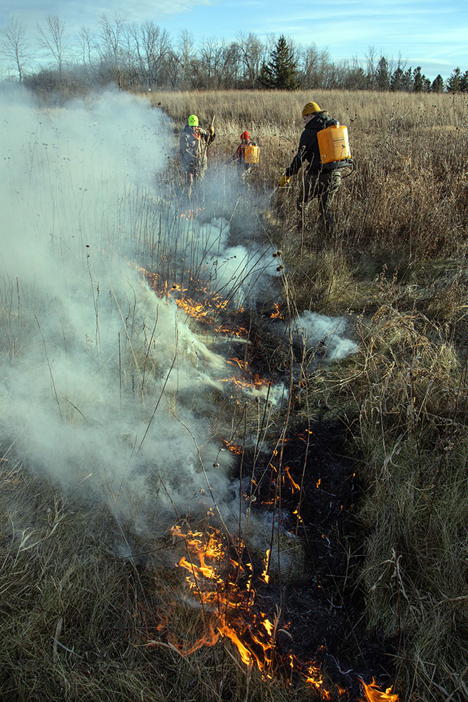 Mobile water sprayers are used to help maintain the fire line.