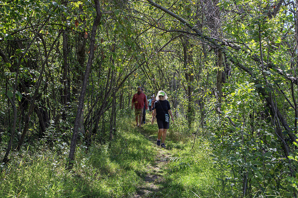 Deborah Unger of the Friends of Grobschmidt Park leads the way through a thicket along the Forked Aster Trail, which runs through a portion of the park.