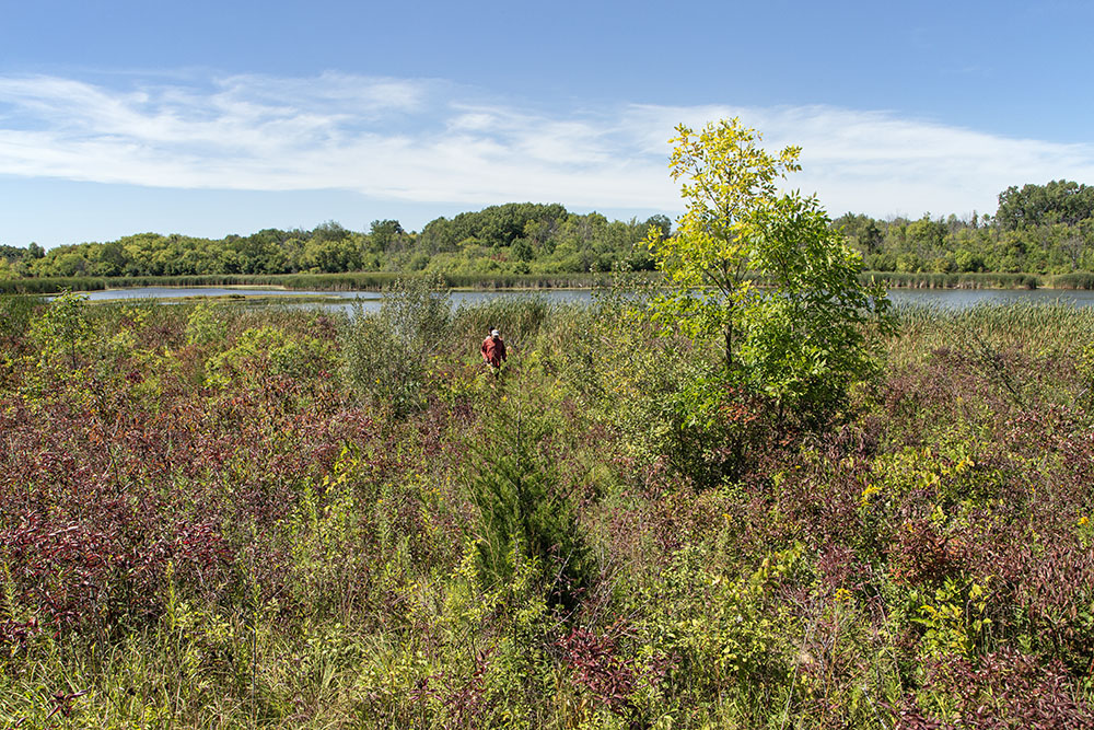 Some in the group take a spur trail down to the shore of Mud Lake.