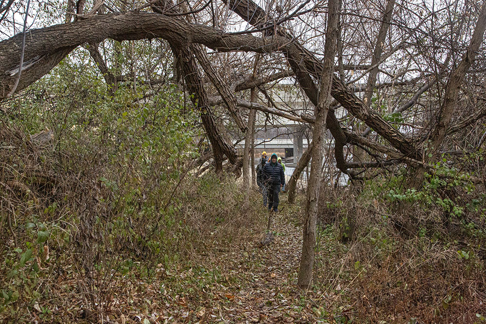 A Walk in the Park at Lincoln Park