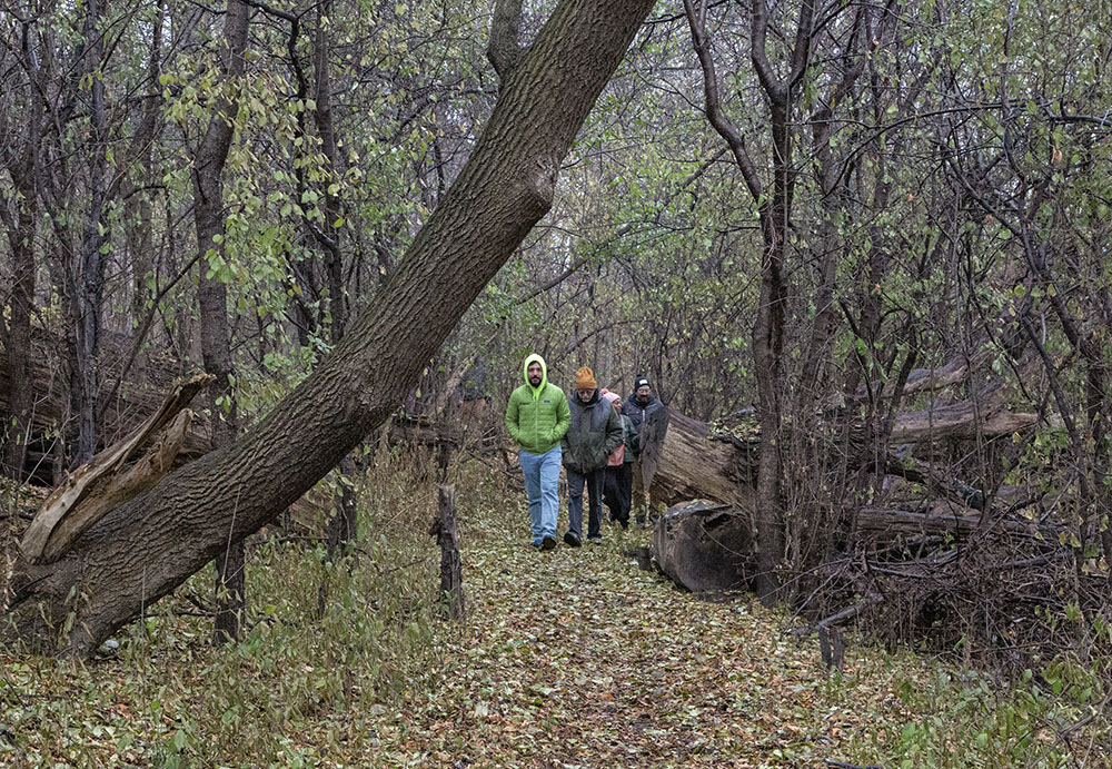 Walking in the woods along the Connector Trail.