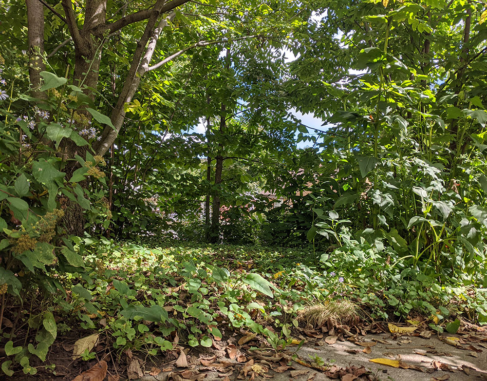 Outdoor living room / classroom.