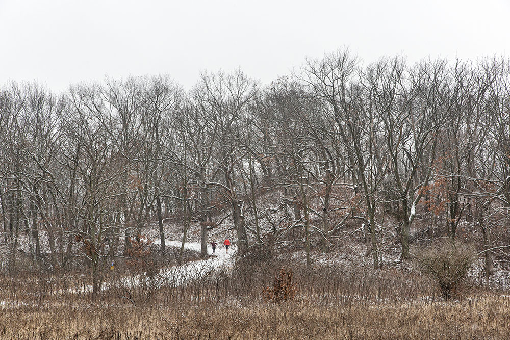 A pair of hikers on the ski trail.