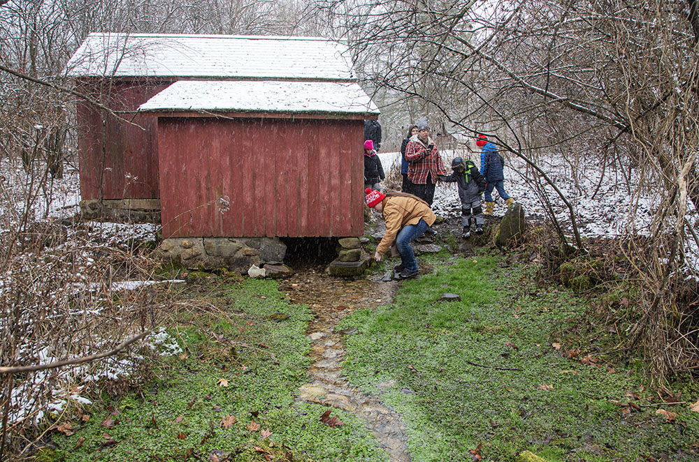 The Springhouse.