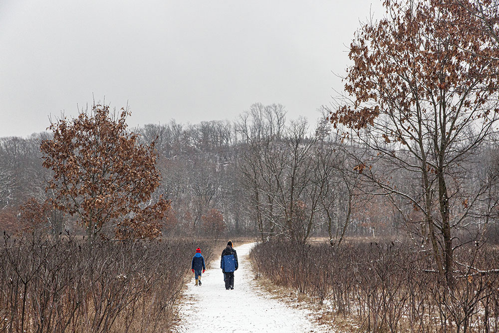 Heading across an open field towards Big Hill.