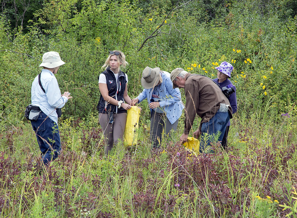 Tour group members collecting seeds to help spread native species.