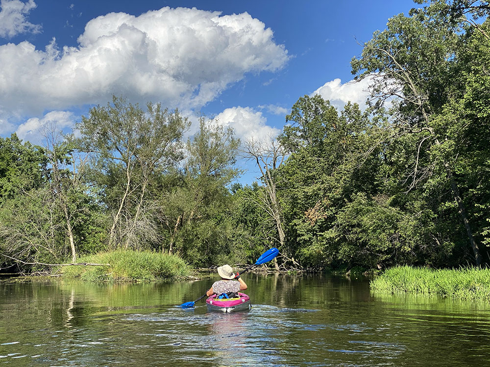 Negotiating islands in the stream at Decorah Woods Preserve.