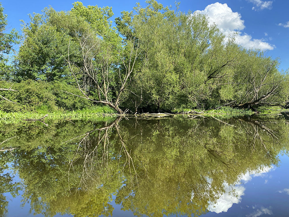 Symmetry! (a reflection)