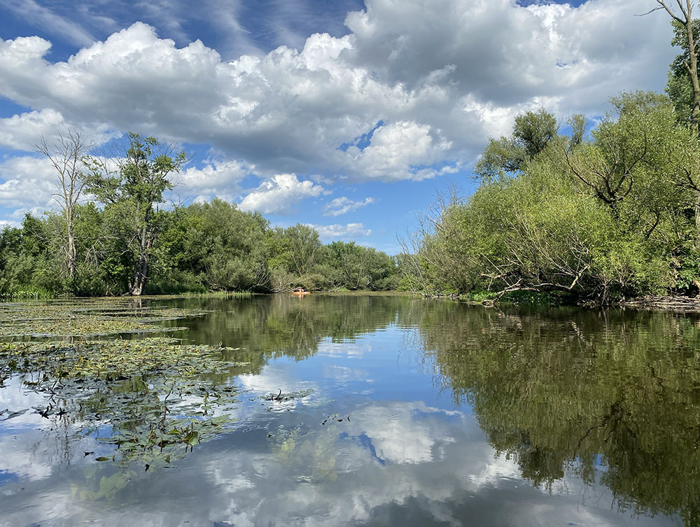 The sky was cooperating with the landscape to make for great photos!