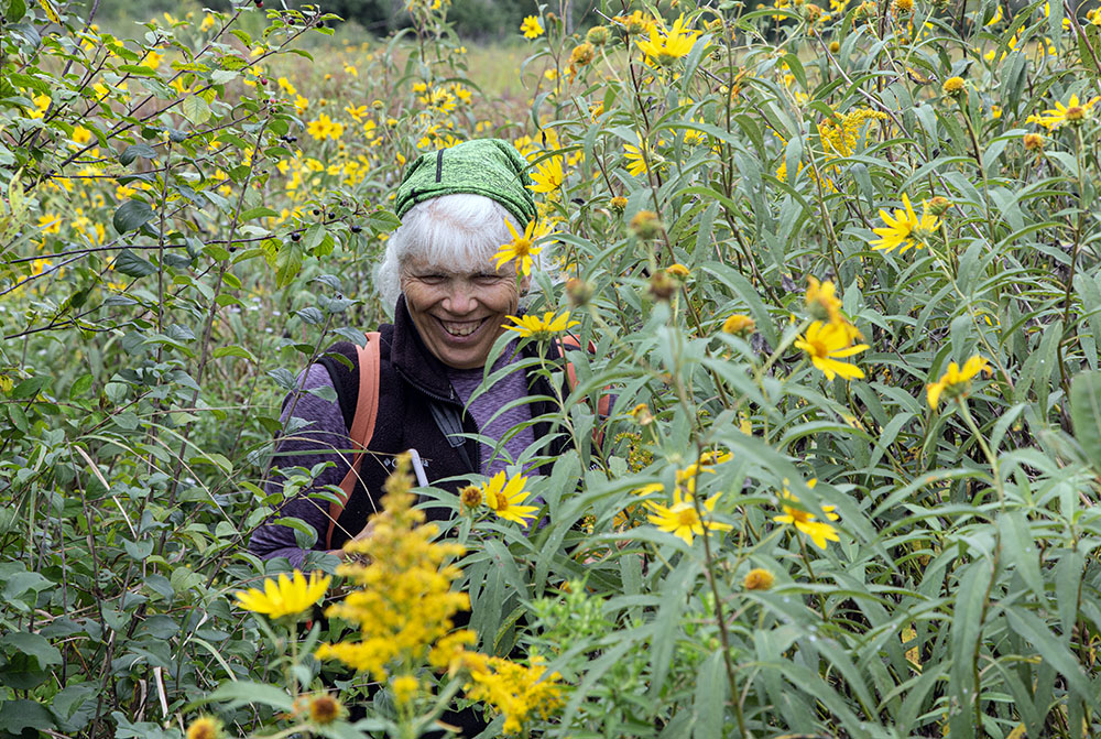 Squeezing through the calcareous fen