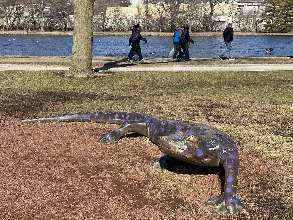 An enormous salamander at a playground in Frame Park.